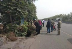 禹州交警上演一场警民联手生死营救