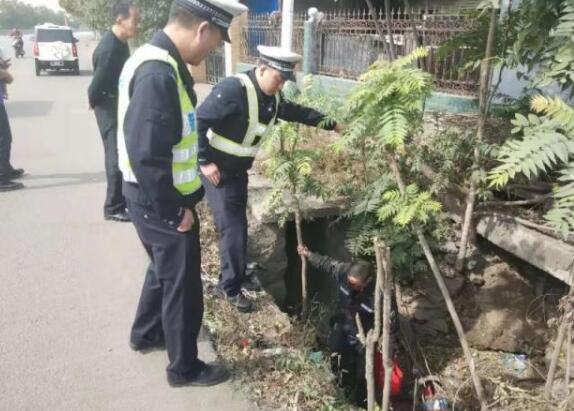 禹州交警上演一场警民联手生死营救 禹州交警上演一场警民联手生死营救