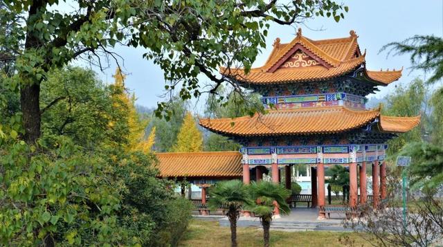 许昌博林书画院送文化到磨街 参观大涧华夏植物群地质公园 许昌博林书画院送文化到磨街 参观大涧华夏植物群地质公园