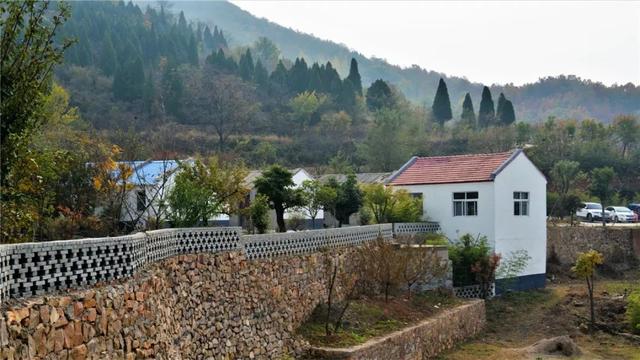 许昌博林书画院送文化到磨街 参观大涧华夏植物群地质公园 许昌博林书画院送文化到磨街 参观大涧华夏植物群地质公园