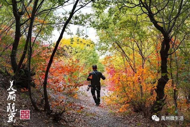 美丽禹州!陈窑欢迎您 休闲旅游绝佳胜地让您流连忘返 美丽禹州!陈窑欢迎您 休闲旅游绝佳胜地让您流连忘返