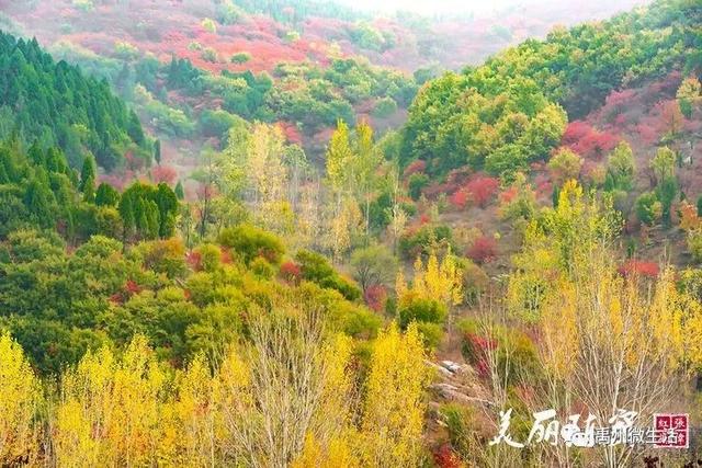 美丽禹州!陈窑欢迎您 休闲旅游绝佳胜地让您流连忘返 美丽禹州!陈窑欢迎您 休闲旅游绝佳胜地让您流连忘返