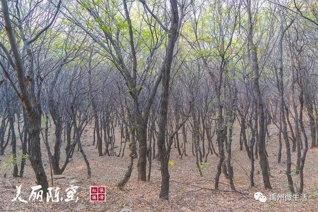 美丽禹州!陈窑欢迎您 休闲旅游绝佳胜地让您流连忘返 美丽禹州!陈窑欢迎您 休闲旅游绝佳胜地让您流连忘返