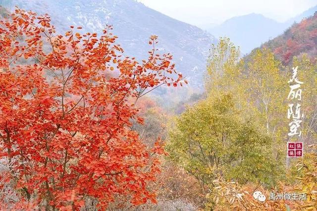 美丽禹州!陈窑欢迎您 休闲旅游绝佳胜地让您流连忘返 美丽禹州!陈窑欢迎您 休闲旅游绝佳胜地让您流连忘返