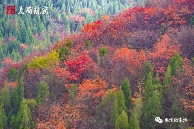美丽禹州!陈窑欢迎您 休闲旅游绝佳胜地让您流连忘返 美丽禹州!陈窑欢迎您 休闲旅游绝佳胜地让您流连忘返