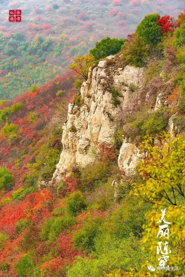美丽禹州!陈窑欢迎您 休闲旅游绝佳胜地让您流连忘返 美丽禹州!陈窑欢迎您 休闲旅游绝佳胜地让您流连忘返