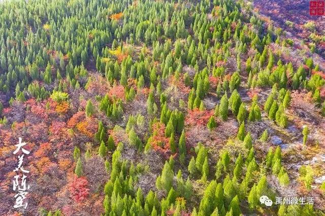 美丽禹州!陈窑欢迎您 休闲旅游绝佳胜地让您流连忘返 美丽禹州!陈窑欢迎您 休闲旅游绝佳胜地让您流连忘返