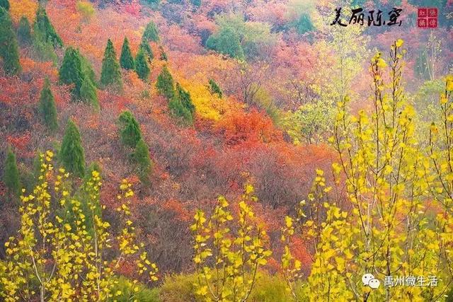 美丽禹州!陈窑欢迎您 休闲旅游绝佳胜地让您流连忘返 美丽禹州!陈窑欢迎您 休闲旅游绝佳胜地让您流连忘返