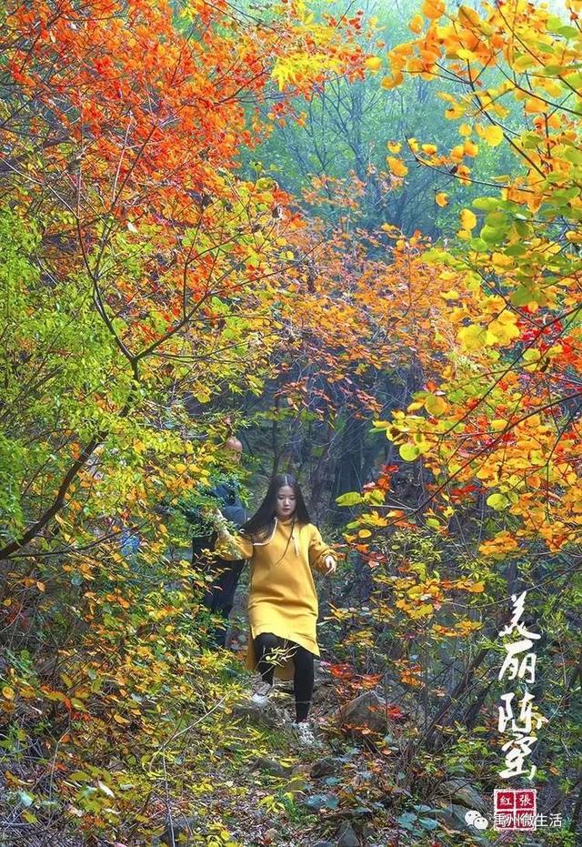 美丽禹州!陈窑欢迎您 休闲旅游绝佳胜地让您流连忘返 美丽禹州!陈窑欢迎您 休闲旅游绝佳胜地让您流连忘返