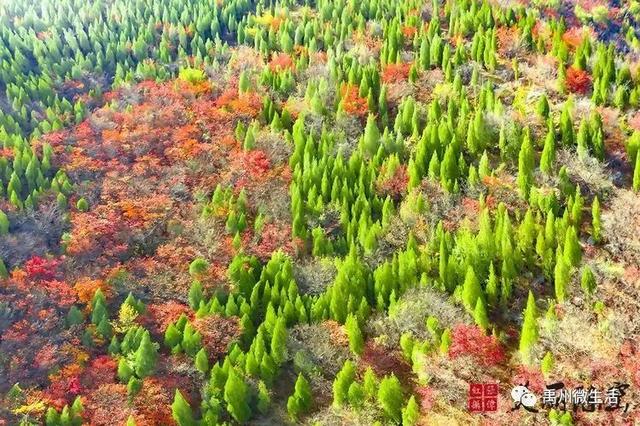 美丽禹州!陈窑欢迎您 休闲旅游绝佳胜地让您流连忘返 美丽禹州!陈窑欢迎您 休闲旅游绝佳胜地让您流连忘返