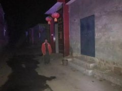“牛魔王”离家出走 禹州民警彻夜寻牛