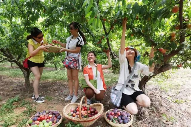 禹州市参加全国全域旅游培训班暨全域旅游工作推进会! 禹州市参加全国全域旅游培训班暨全域旅游工作推进会!