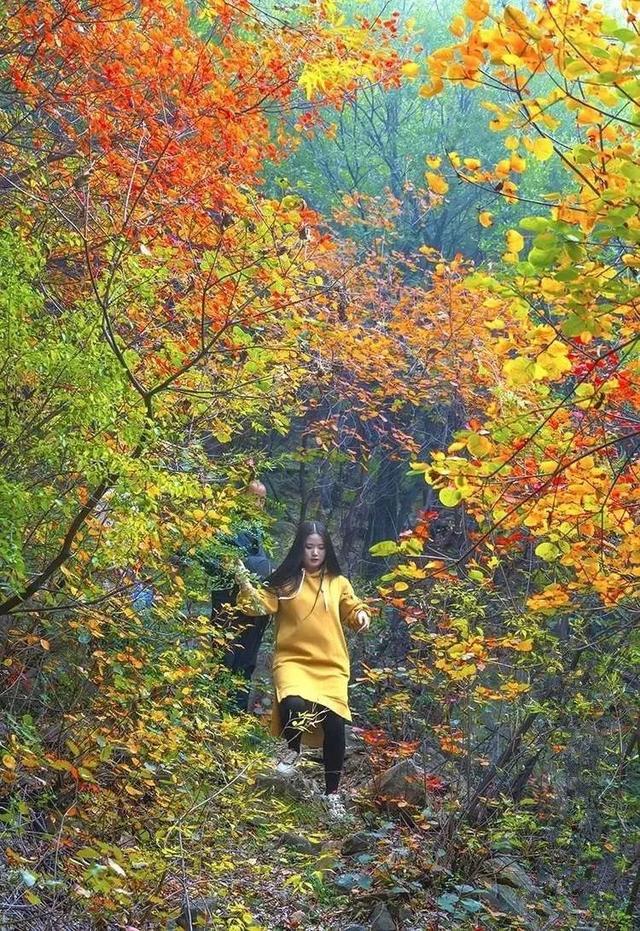 一个养在深闺人未识的世外桃源--禹州陈窑 一个养在深闺人未识的世外桃源--禹州陈窑