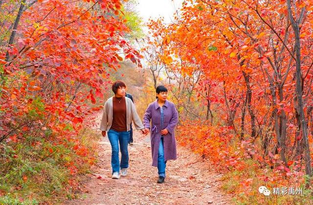 今天禹州这组深山里的照片火了!美遍朋友圈 今天禹州这组深山里的照片火了!美遍朋友圈