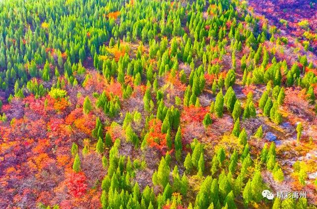 今天禹州这组深山里的照片火了!美遍朋友圈 今天禹州这组深山里的照片火了!美遍朋友圈