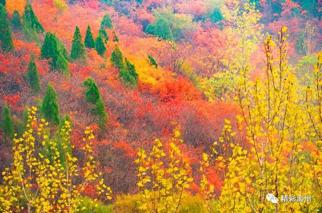 今天禹州这组深山里的照片火了!美遍朋友圈 今天禹州这组深山里的照片火了!美遍朋友圈
