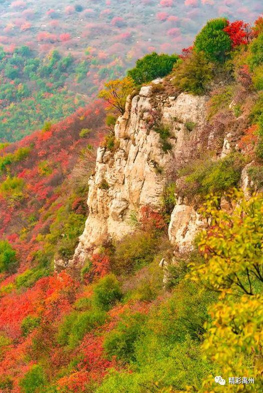 今天禹州这组深山里的照片火了!美遍朋友圈 今天禹州这组深山里的照片火了!美遍朋友圈