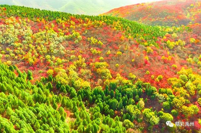 今天禹州这组深山里的照片火了!美遍朋友圈 今天禹州这组深山里的照片火了!美遍朋友圈