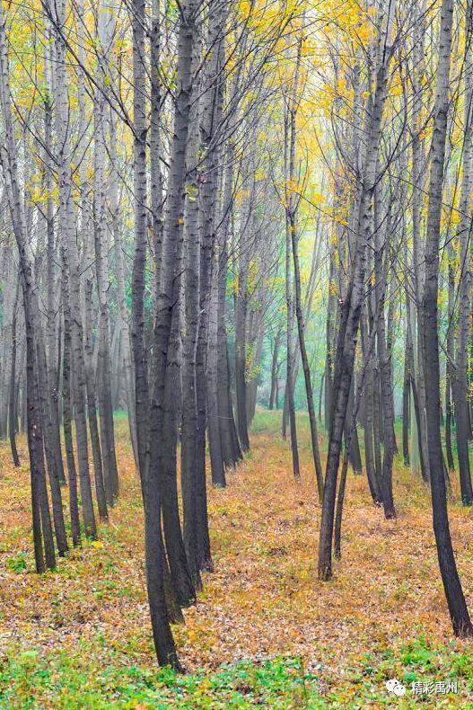 今天禹州这组深山里的照片火了!美遍朋友圈 今天禹州这组深山里的照片火了!美遍朋友圈