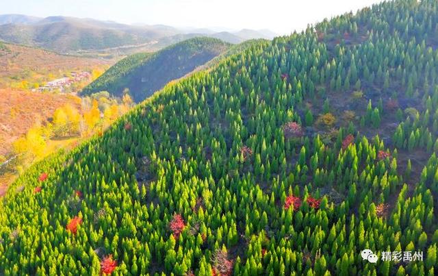 今天禹州这组深山里的照片火了!美遍朋友圈 今天禹州这组深山里的照片火了!美遍朋友圈