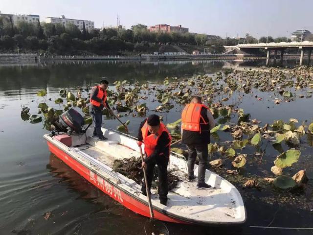 这群30岁的禹州年轻人每天捡一吨垃圾 这群30岁的禹州年轻人每天捡一吨垃圾