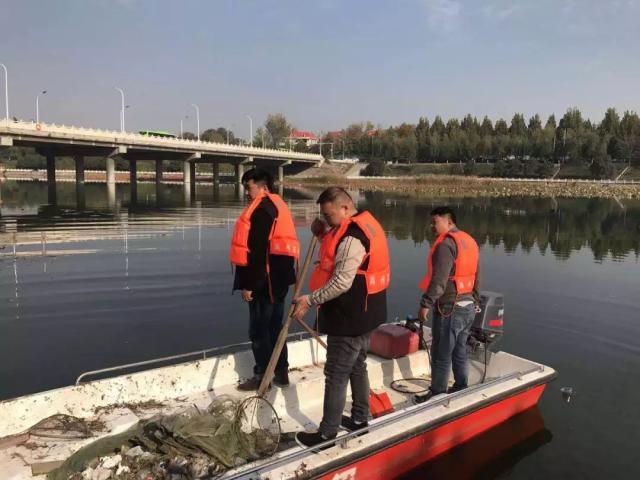 这群30岁的禹州年轻人每天捡一吨垃圾 这群30岁的禹州年轻人每天捡一吨垃圾