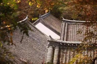 禹州有处“桃花源”!村子藏在深山中 禹州有处“桃花源”!村子藏在深山中