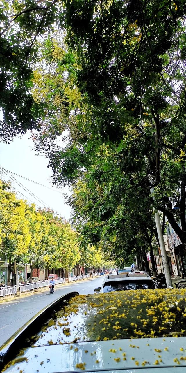 禹州恒达阳光城:顺着时光寻秋去 冬月馋秋回眸颍河秋令 禹州恒达阳光城:顺着时光寻秋去 冬月馋秋回眸颍河秋令