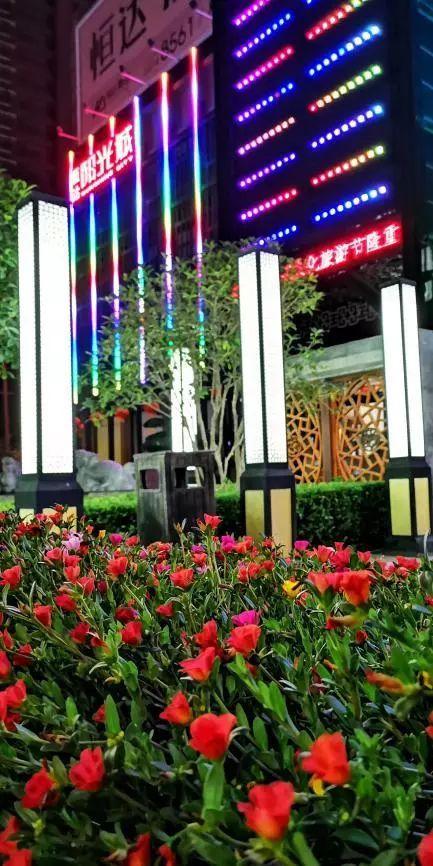 禹州恒达阳光城:顺着时光寻秋去 冬月馋秋回眸颍河秋令 禹州恒达阳光城:顺着时光寻秋去 冬月馋秋回眸颍河秋令