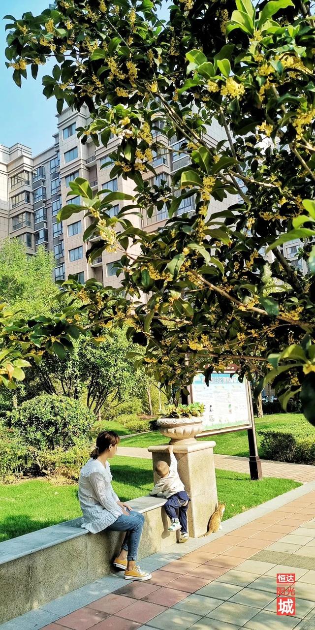 禹州恒达阳光城:顺着时光寻秋去 冬月馋秋回眸颍河秋令 禹州恒达阳光城:顺着时光寻秋去 冬月馋秋回眸颍河秋令