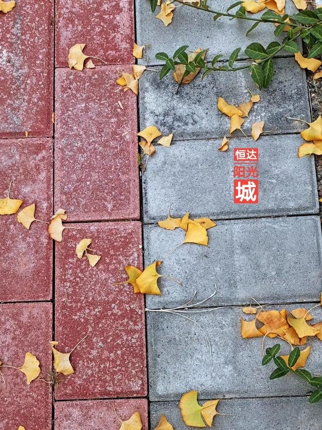 禹州恒达阳光城:顺着时光寻秋去 冬月馋秋回眸颍河秋令 禹州恒达阳光城:顺着时光寻秋去 冬月馋秋回眸颍河秋令