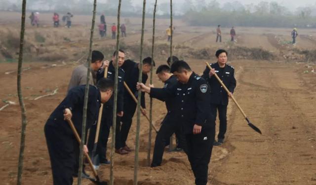 禹州市自然资源和规划局积极参加冬季义务植树造林活动 禹州市自然资源和规划局积极参加冬季义务植树造林活动