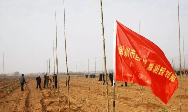禹州市自然资源和规划局积极参加冬季义务植树造林活动 禹州市自然资源和规划局积极参加冬季义务植树造林活动