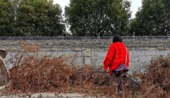 河南禹州多名车主遭遇天价停车费，多部门相互推诿、踢皮球