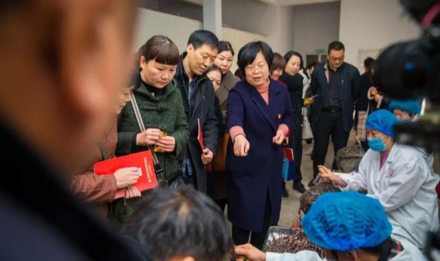 禹州非遗魅力行到中国钧瓷文化园进行实地观摩 禹州非遗魅力行到中国钧瓷文化园进行实地观摩