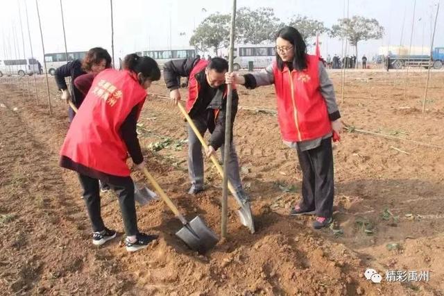 全民动手共同参与!禹州市掀起冬季全民义务植树热潮! 全民动手共同参与!禹州市掀起冬季全民义务植树热潮!