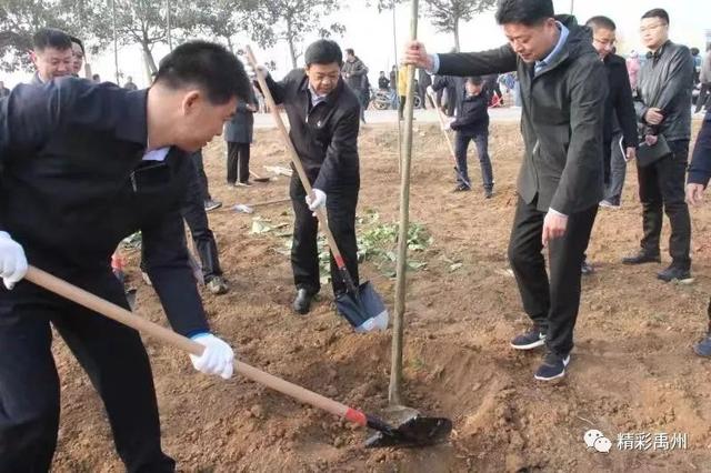 全民动手共同参与!禹州市掀起冬季全民义务植树热潮! 全民动手共同参与!禹州市掀起冬季全民义务植树热潮!
