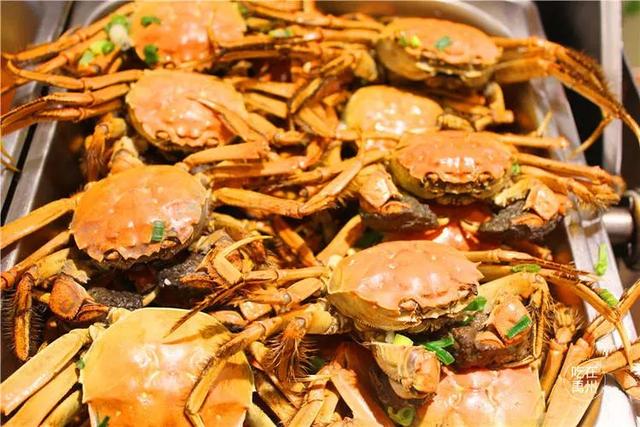 38.8元抢购禹州竹林大酒店单人自助餐套餐 特价会员仅需38.5元! 38.8元抢购禹州竹林大酒店单人自助餐套餐 特价会员仅需38.5元!
