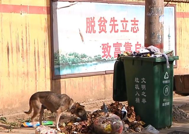 禹州花石镇一摘牌村被电视台曝光!面对问题村干却又一大困扰 禹州花石镇一摘牌村被电视台曝光!面对问题村干却又一大困扰