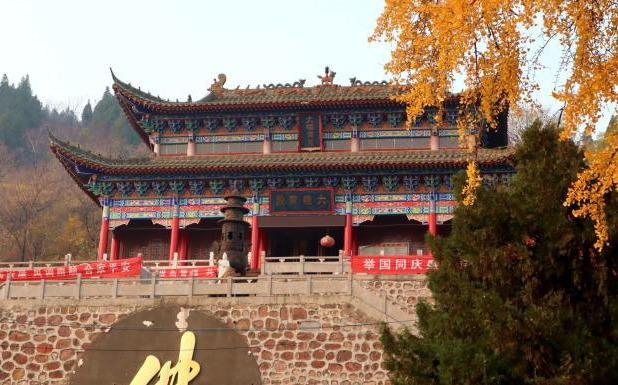 河南神垕的古银杏恰是一树金黄色 禹州唯一免费 河南神垕的古银杏恰是一树金黄色 禹州唯一免费