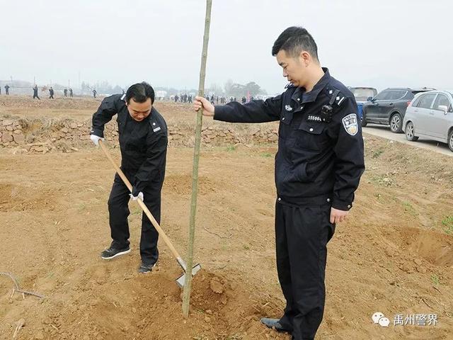 11月22日禹州市公安局组织参加义务植树活动 11月22日禹州市公安局组织参加义务植树活动