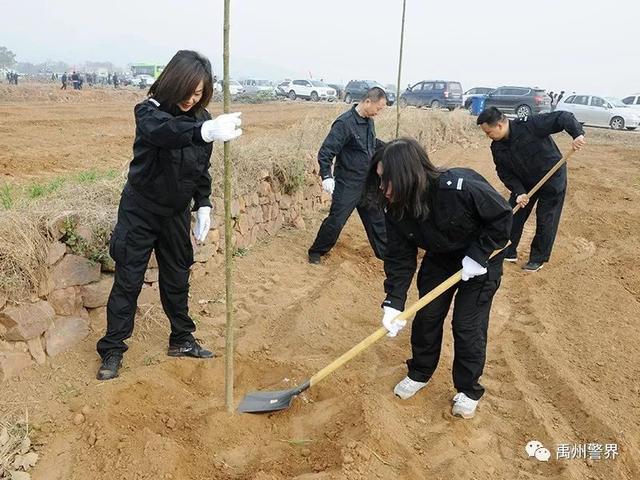 11月22日禹州市公安局组织参加义务植树活动 11月22日禹州市公安局组织参加义务植树活动