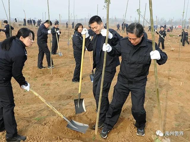 11月22日禹州市公安局组织参加义务植树活动 11月22日禹州市公安局组织参加义务植树活动