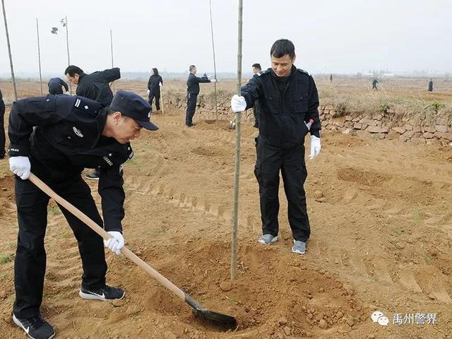 11月22日禹州市公安局组织参加义务植树活动 11月22日禹州市公安局组织参加义务植树活动