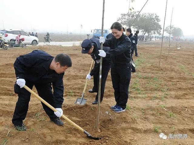 11月22日禹州市公安局组织参加义务植树活动 11月22日禹州市公安局组织参加义务植树活动