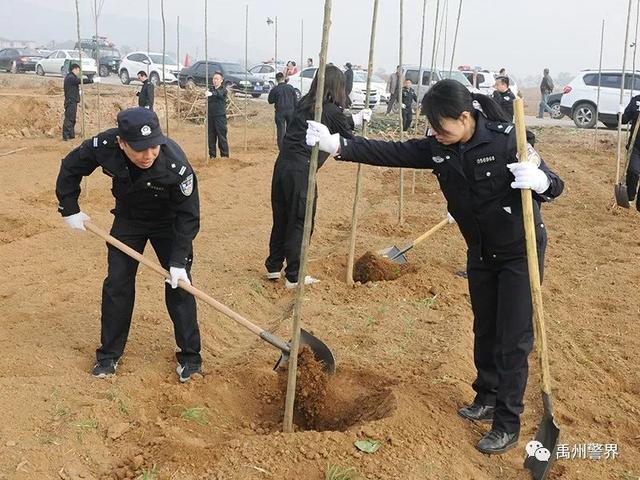 11月22日禹州市公安局组织参加义务植树活动 11月22日禹州市公安局组织参加义务植树活动