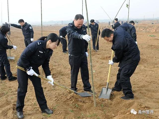11月22日禹州市公安局组织参加义务植树活动 11月22日禹州市公安局组织参加义务植树活动