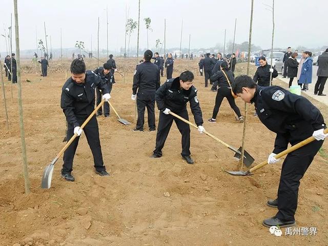 11月22日禹州市公安局组织参加义务植树活动 11月22日禹州市公安局组织参加义务植树活动