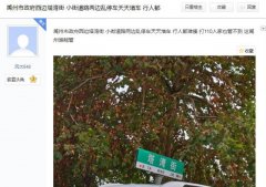 烦人！禹州这条路两侧变成了停车场！网友呼吁有关单位管一管