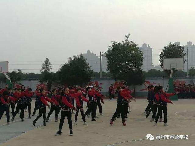 禹州市春蕾学校教育人生感悟 禹州市春蕾学校教育人生感悟